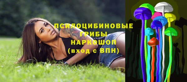 винт Алзамай