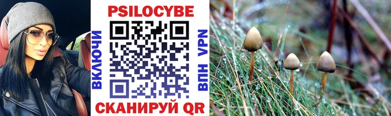 цены наркотик Среднеколымск Псилоцибиновые грибы прущие грибы